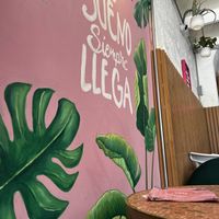   at Satiba Therapy Coffee Shop in Arequipa