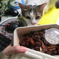 Tapa at Gulay Lang in Quezon City