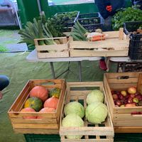  at Zielony Targ in Poznan