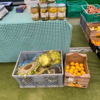  at Zielony Targ in Poznan