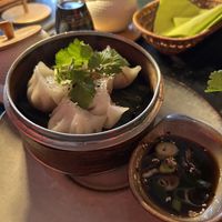 Dumplings  at Udonge Vegan Cuisine in Potsdam