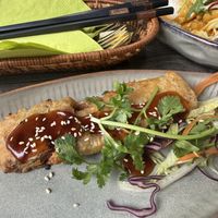   at Udonge Vegan Cuisine in Potsdam