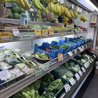   at Biotoop in Leuven