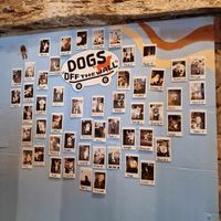  at Junk Soul Smothered Bar & Grill in Beverley