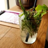 Gazoz pear at Roxo Lunchcafé in Zutphen