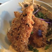 tempeh at Gratitude Restaurant in Munich