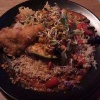Grilled Avocado w/ Tempeh, Rice and Salad w/blueberries at Gratitude Restaurant in Munich