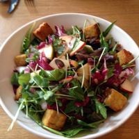 extreme salad at Gratitude Restaurant in Munich