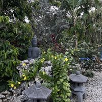 Outdoor seating  at Oasis Ital and Nursery in Parish Land