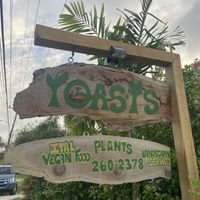   at Oasis Ital and Nursery in Parish Land