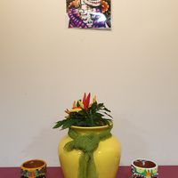  at Taco Meister in Berlin