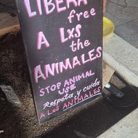  at Deja Vufree Taqueria  in Playa Del Carmen