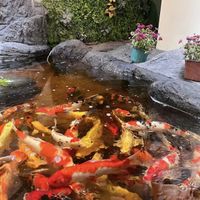   at Nhà Hàng Chay Bụt Việt in Nha Trang