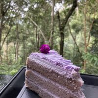 Cake. Delicious   at The Habitat Cafe and Retail in Penang