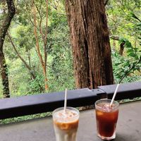  at The Habitat Cafe and Retail in Penang