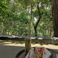  at The Habitat Cafe and Retail in Penang