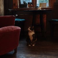  at Valhalla Wine & Coffee, kafejnīca in Liepaja