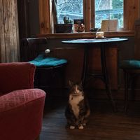  at Valhalla Wine & Coffee, kafejnīca in Liepaja