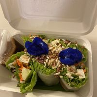 Spring rolls  at Sweet Sisters Cafe in Koh Samui