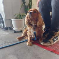  at Yam Kitchen in Miyazaki