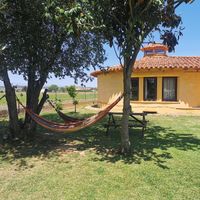 Hammocks at Albergue Verde in Hospital De Orbigo