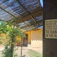 💖 at Albergue Verde in Hospital De Orbigo