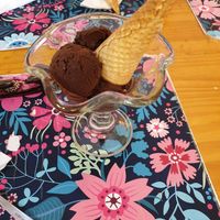 Vegan chocolate icecream!!!! at Vegan Bunker in Santiago