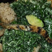 Takeaway: Chicken Caeser salad with the soften massaged kale at Petiole Cafe in Janabiyah