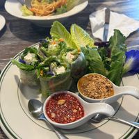 Spring rolls - able to sub tofu for meat  at Blu Arroz Asian Bistro in Stuart