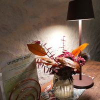  at Pizzeria Portamevia in Treviso