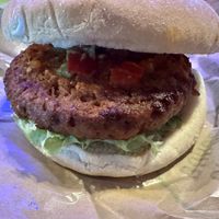 Greenforce burger at Europa Park - Food Loop in Rust