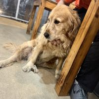   at Andee Sapa Restaurant - Buffet Grill Hotpot & Vegan Food in Lao Cai