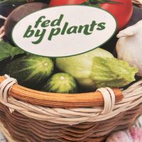   at Fed By Plants in South East London