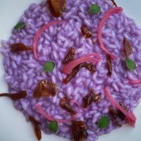  at Osteria Del Vicario in Certaldo