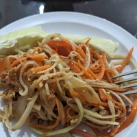 Papaya Salad made with bean sauce at Villa Thai in Endicott