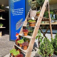 Plant shop at Stera - Plantenbar in Bruges