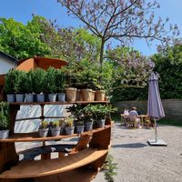 Terrace at Stera - Plantenbar in Bruges