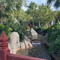 the restaurant area   at Universal Studios - Kohola Reef Restaurant & Social Club in Orlando