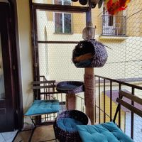  at Kočičí Kavárna - Cat Cafe in Prague