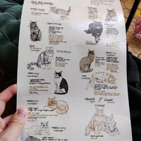  at Kočičí Kavárna - Cat Cafe in Prague