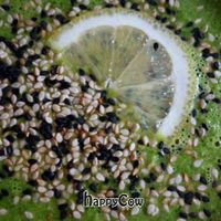 Raw + vegan at Mahemarket and Cafe in Tallinn