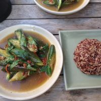 Anchan Vegetarian, Chiang Mai - miso eggplant dish with brown rice at Anchan Vegetarian Restaurant in Chiang Mai