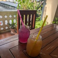  at Anchan Vegetarian Restaurant in Chiang Mai