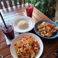 Tofu w rice / noodles + veggies at Anchan Vegetarian Restaurant in Chiang Mai