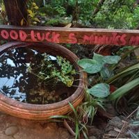  at Black Stone Cafe in Khao Sok