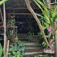   at Black Stone Cafe in Khao Sok