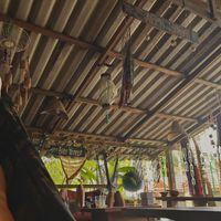   at Black Stone Cafe in Khao Sok