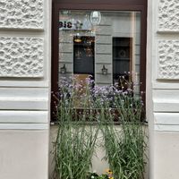   at Don't Call It Pizza in Vienna