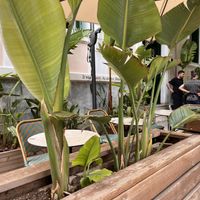 Outside sitting   at Beauty Killed the Beast in Athens