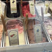 Options (see the ones that say vegan)  at Levendula Fagylaltozó in Szentendre